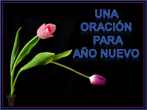 Año Nuevo Año Nuevo