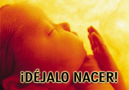 Aborto No Aborto No