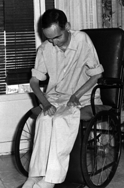 Lolo Manuel Lozano Garrido