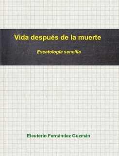 Vida después de la muerte Portada de libro