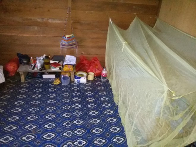 Mision-Sacerdote-Instituto-del-Verbo-Encarnado-Pap�a-08